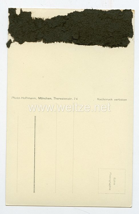 III. Reich - Propaganda-Postkarte - " Reichspräsident von Hindenburg, Letzte Aufnahme vom 3. Juli 1934 in Neudeck " Bild 2