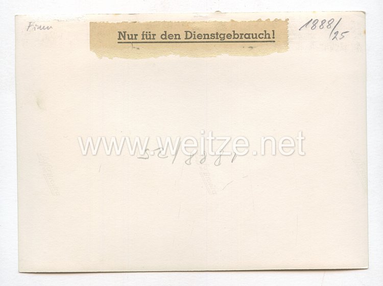 Wehrmacht Pressefoto: Finnische und Deutsche Soldaten  Bild 2